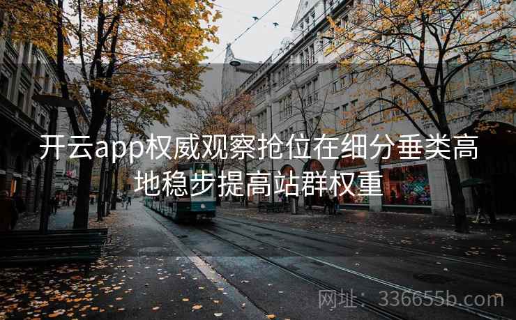 开云app权威观察抢位在细分垂类高地稳步提高站群权重 开云app权威观察抢位在细分垂类高地稳步提高站群权重