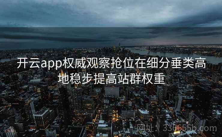 开云app权威观察抢位在细分垂类高地稳步提高站群权重