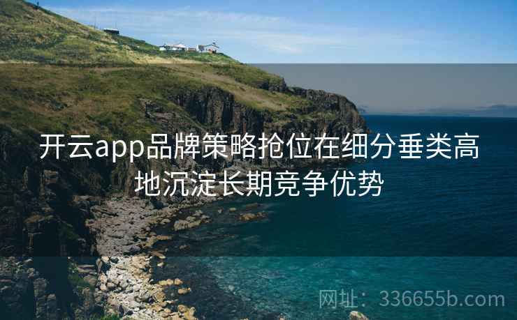 开云app品牌策略抢位在细分垂类高地沉淀长期竞争优势