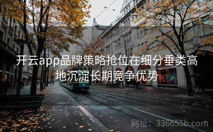 开云app品牌策略抢位在细分垂类高地沉淀长期竞争优势 开云app品牌策略抢位在细分垂类高地沉淀长期竞争优势