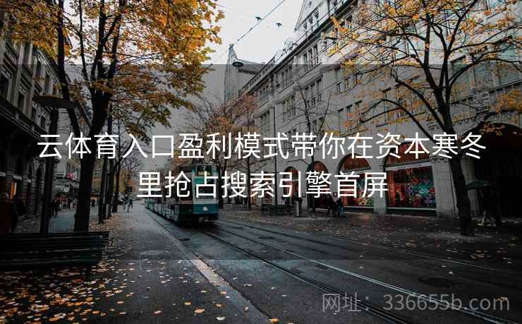 云体育入口盈利模式带你在资本寒冬里抢占搜索引擎首屏