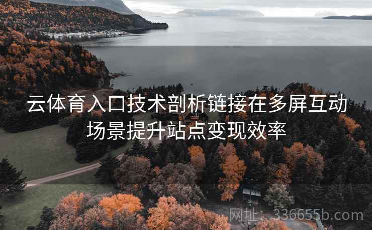 云体育入口技术剖析链接在多屏互动场景提升站点变现效率 云体育入口技术剖析链接在多屏互动场景提升站点变现效率